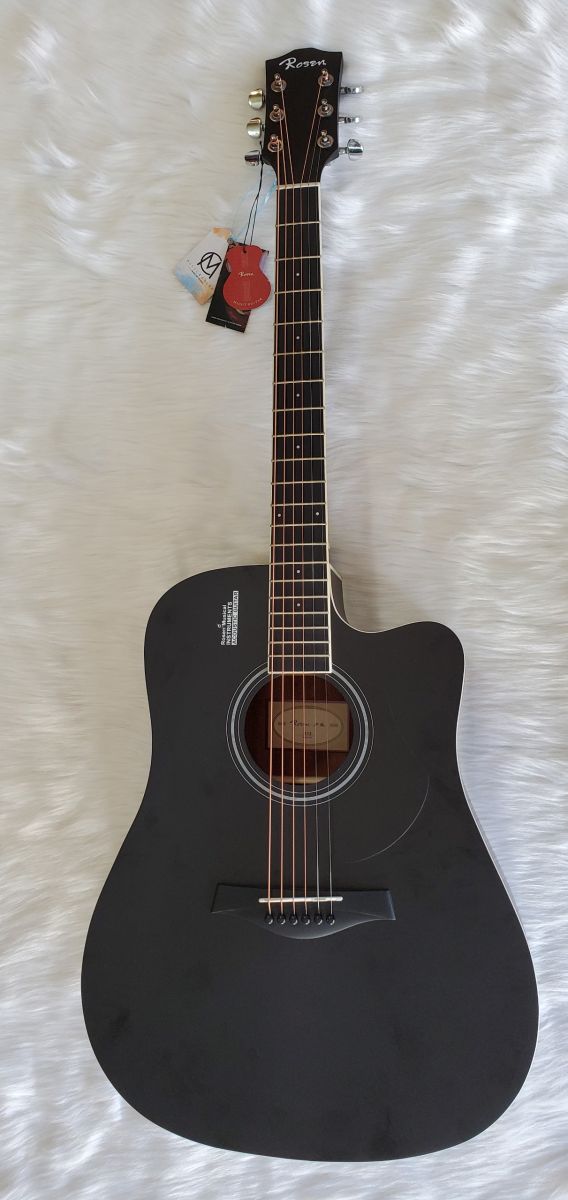 Guitar Acoustic Rosen G12
